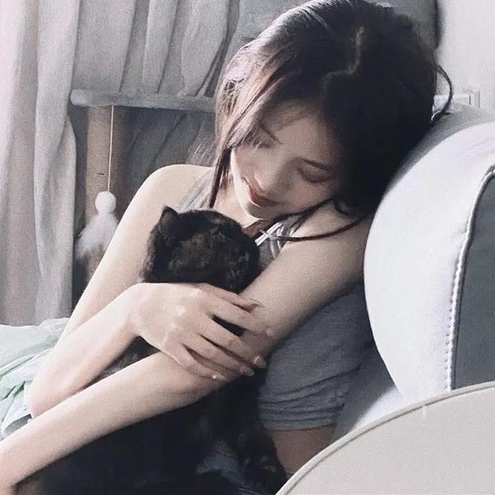 猛虎末路